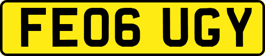 FE06UGY