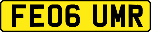 FE06UMR