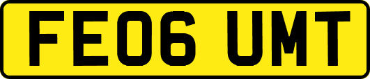 FE06UMT