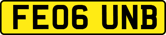 FE06UNB