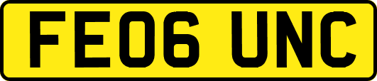 FE06UNC
