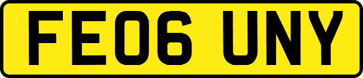 FE06UNY