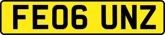 FE06UNZ