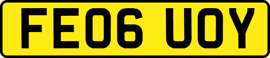 FE06UOY