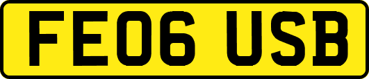 FE06USB
