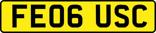 FE06USC