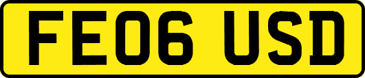 FE06USD