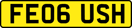 FE06USH