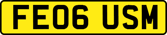 FE06USM