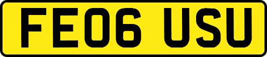 FE06USU