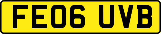 FE06UVB