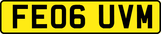 FE06UVM