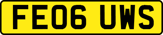 FE06UWS