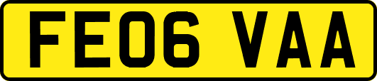 FE06VAA