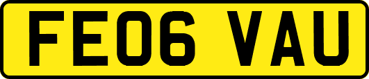 FE06VAU