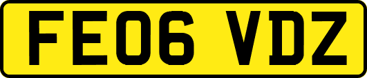 FE06VDZ