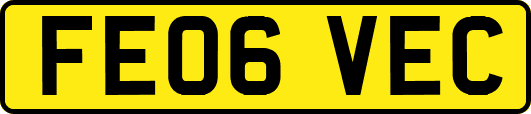 FE06VEC