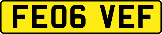 FE06VEF