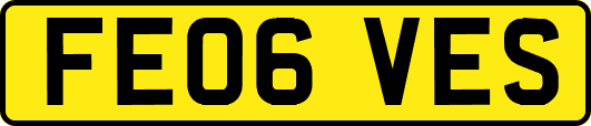 FE06VES