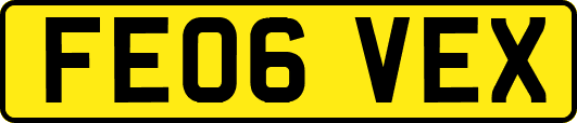 FE06VEX