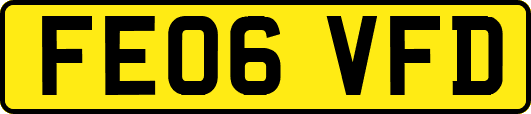 FE06VFD