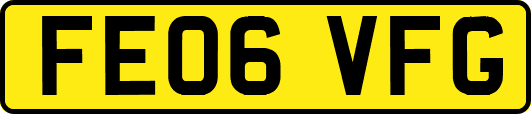 FE06VFG