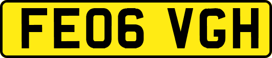 FE06VGH