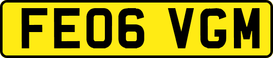 FE06VGM