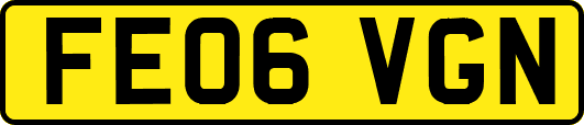 FE06VGN