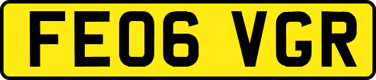 FE06VGR