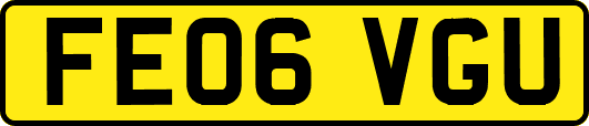 FE06VGU