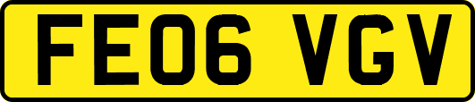 FE06VGV