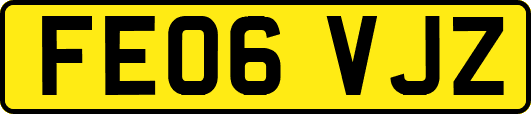 FE06VJZ