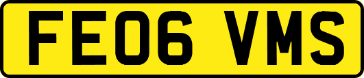 FE06VMS