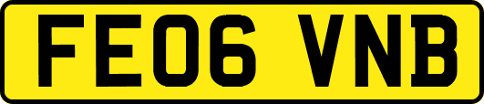 FE06VNB