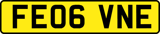 FE06VNE