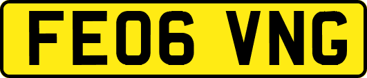FE06VNG