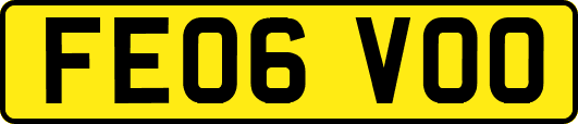 FE06VOO
