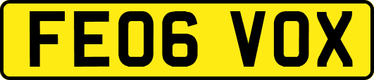 FE06VOX