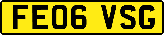 FE06VSG