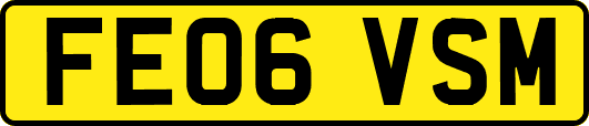 FE06VSM