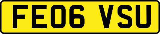 FE06VSU