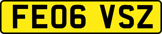 FE06VSZ