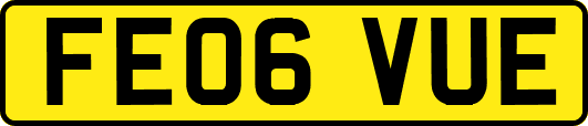 FE06VUE