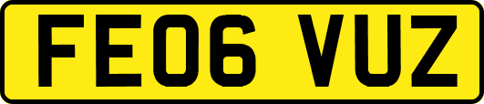 FE06VUZ