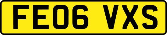 FE06VXS