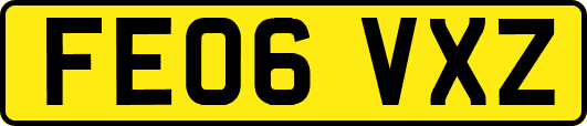 FE06VXZ