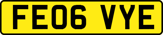 FE06VYE