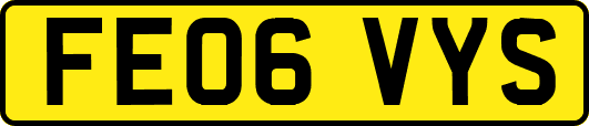 FE06VYS
