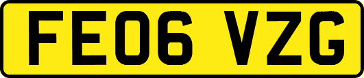 FE06VZG